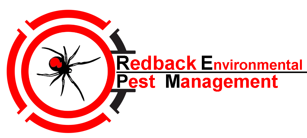 FREE CALL |  Redback Environmental Pest Services Sydney