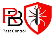 REDBACK logo-shield